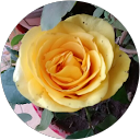 Pravin Menpara profile picture